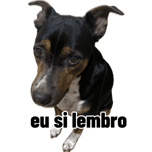 Kkk 3