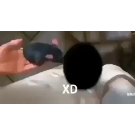 Bro JAJAJA 3