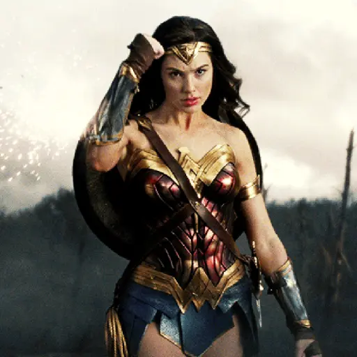 Wonder  13