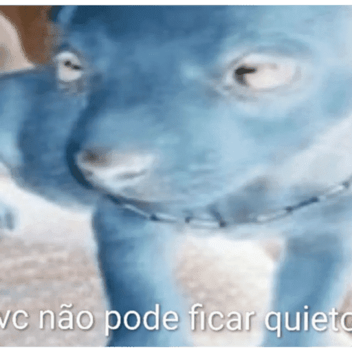 Corno Branco 17