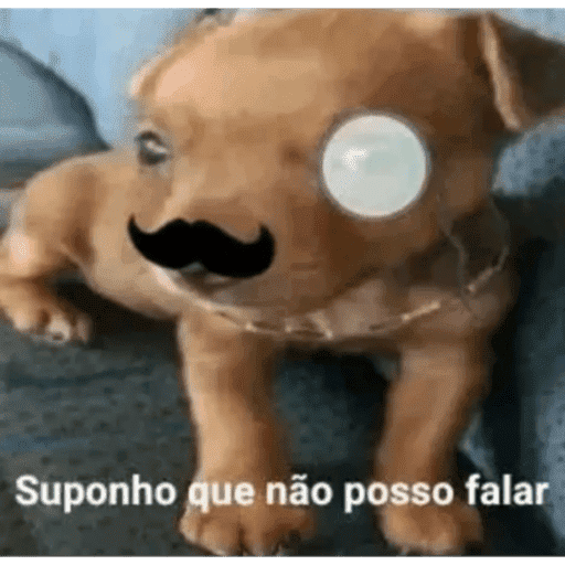 Corno Branco 12