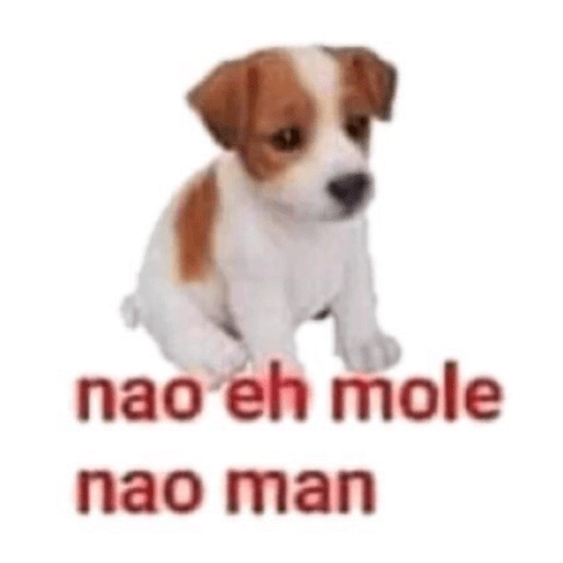 Shitpost raiz do math 3 10