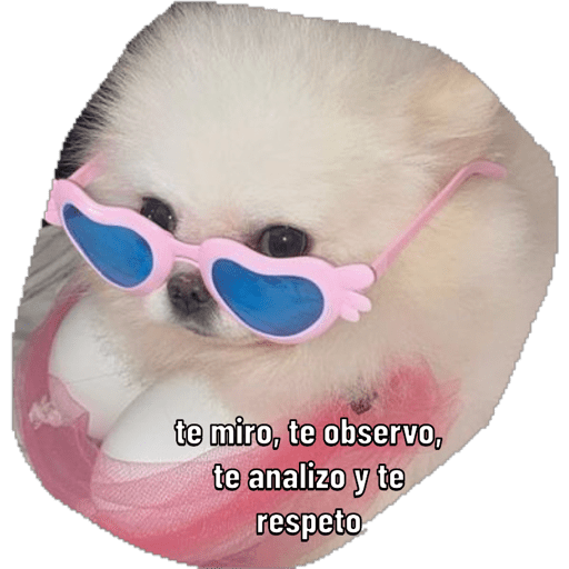 02fc7c62-a635-435c-982a-fdf64197403d.png