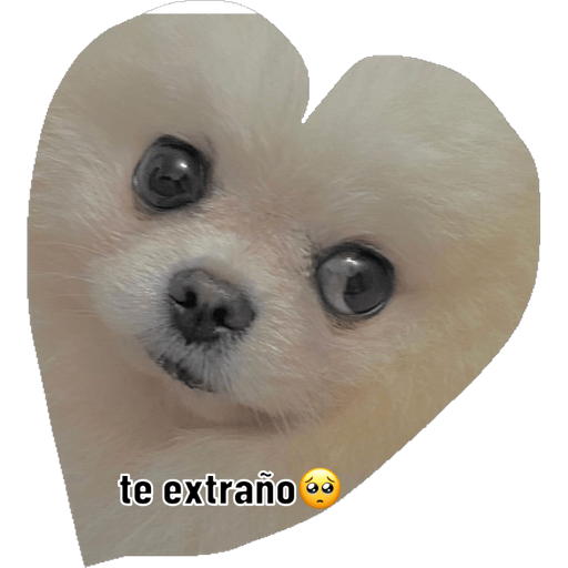1327c877-b05a-4940-bf2a-7b3d07ec7946.png