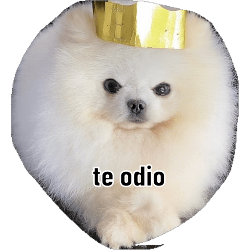 3bdb584a-f6bd-4db2-a2e6-53e309c1fff2.png