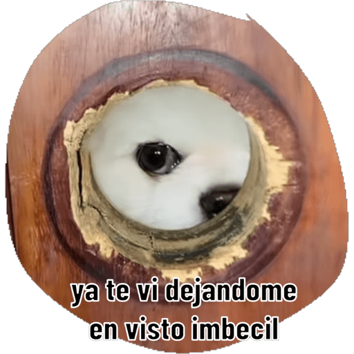 78bb5811-4985-4e9e-873c-9e9d8edbe101.png