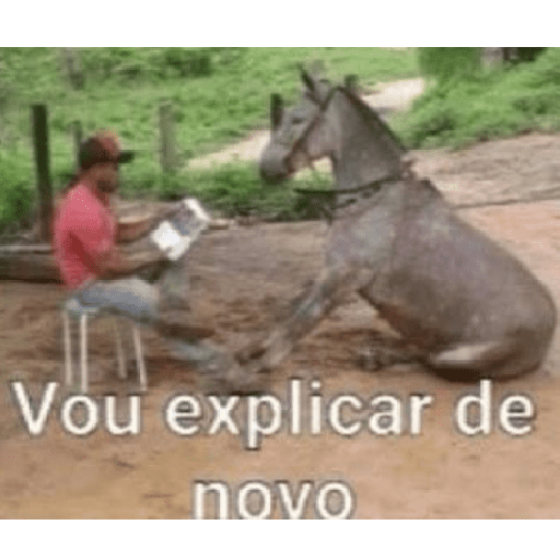 Breli geladeira 6