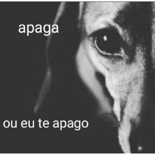 Saliências 3 18