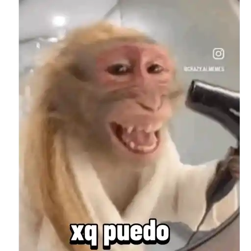 Babados 13