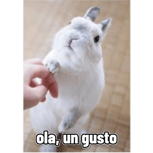 CONEJOS GROSEROS Vol. 3