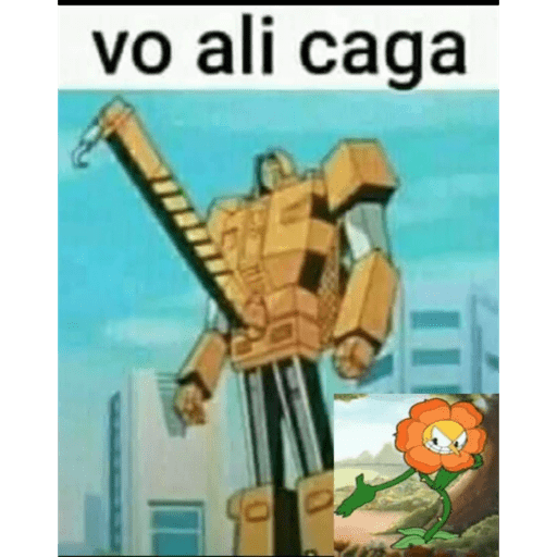 Elma Maria 7