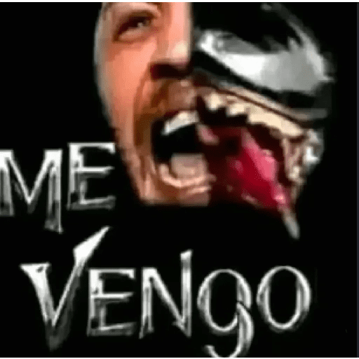 Xd.tv 5