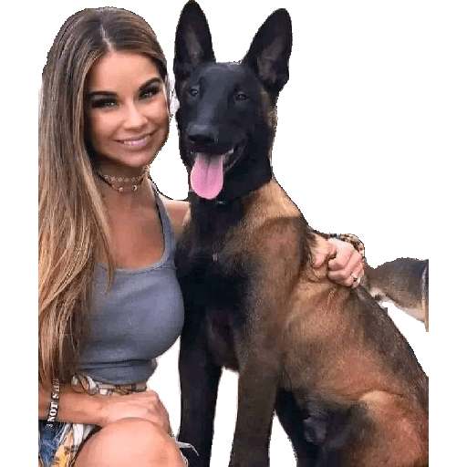 Malinois  12