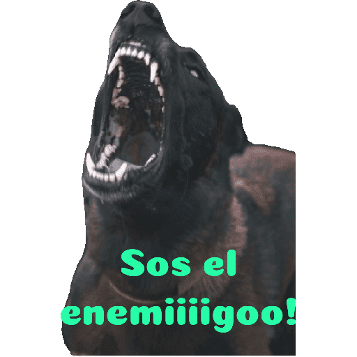Malinois  29