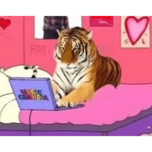 Animais 2 4