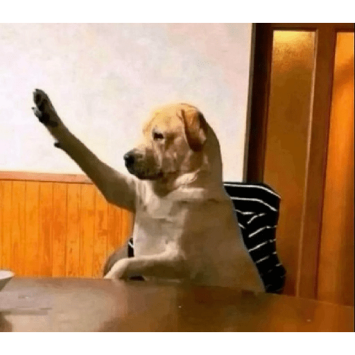 Animais 2 2