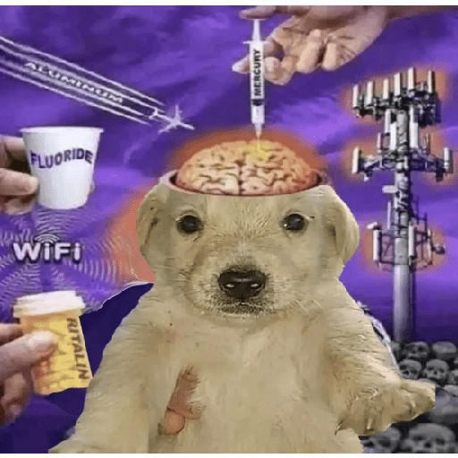 Animais 2 3