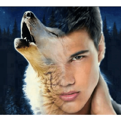 Animais 2 6