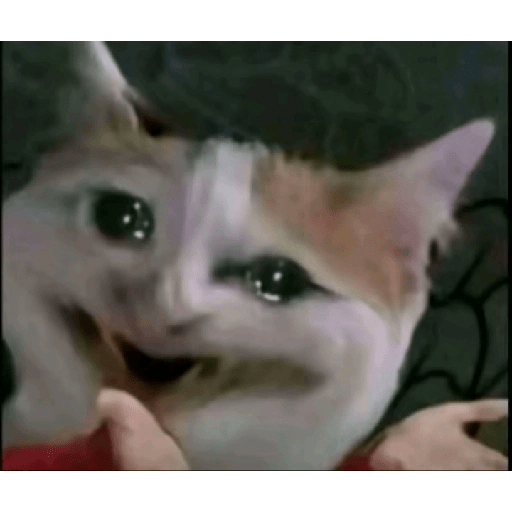 Animais 2 19