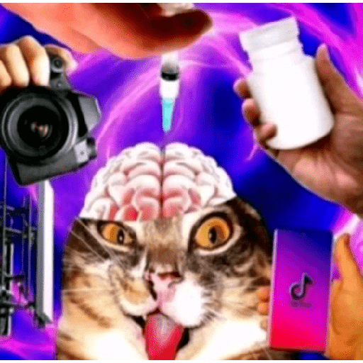 Animais 2 16