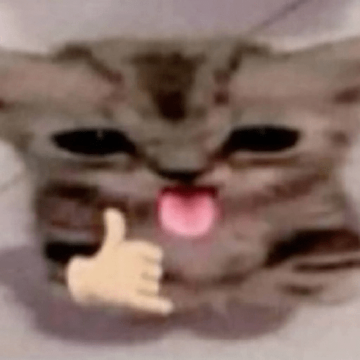 Animais 2 13
