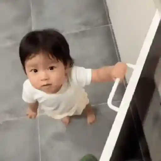 Baozhu Baby 4 20