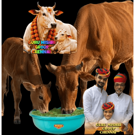 GURU MISHRI GROUP CHENNAI  4