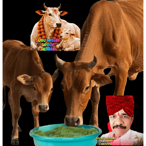 GURU MISHRI GROUP CHENNAI  3