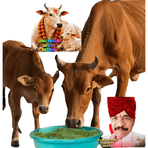 GURU MISHRI GROUP CHENNAI  2