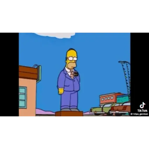RANDOMS ANIMADOS 13