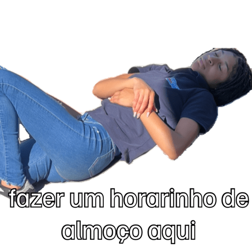 Minhas figurinhas 13