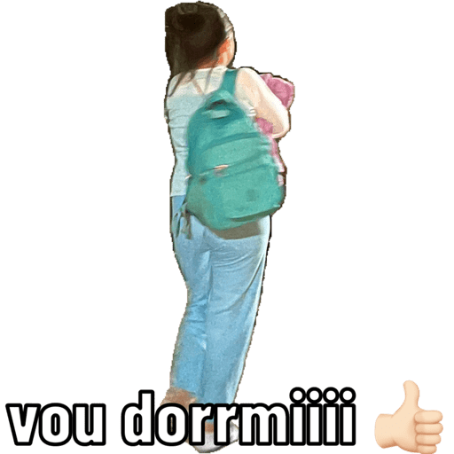 Minhas figurinhas 2