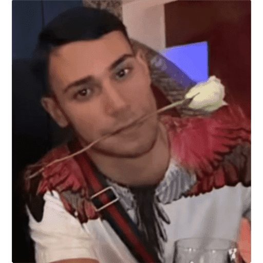 Leggi. 11