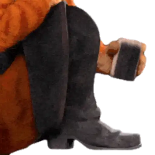 Gato de Botas 6