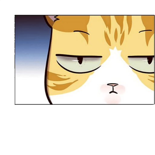 Eleceed Cats 13
