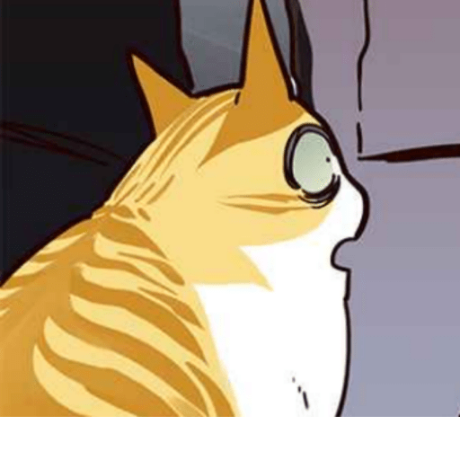 Eleceed Cats 11