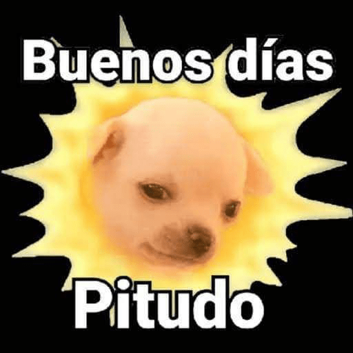 MEMES HOT 🔥 