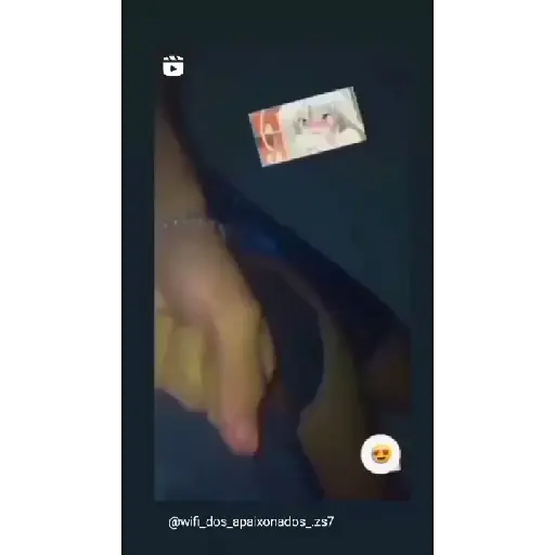 Ale 6