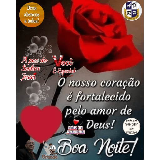 Boa Noite  16