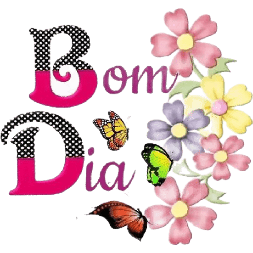 Boa Noite  11