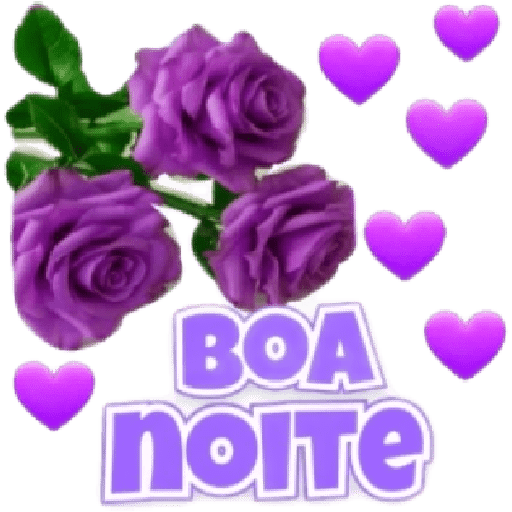 Boa Noite  15