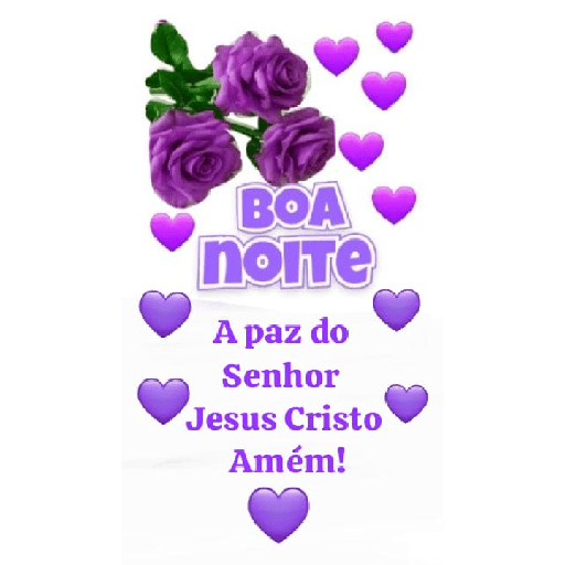 Boa Noite  14