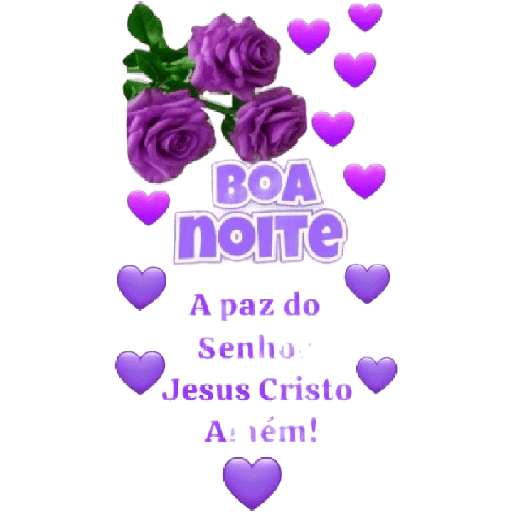 Boa Noite  13