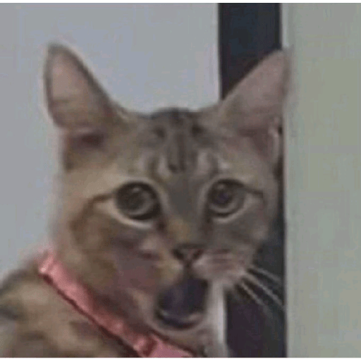 Kepo 6