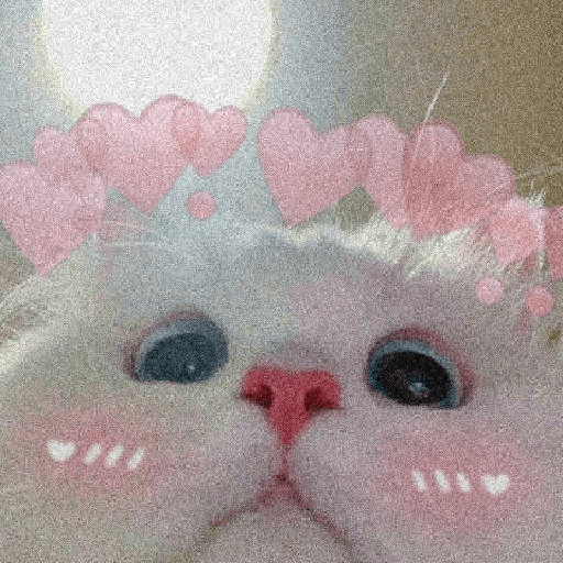 Gatos cute 13