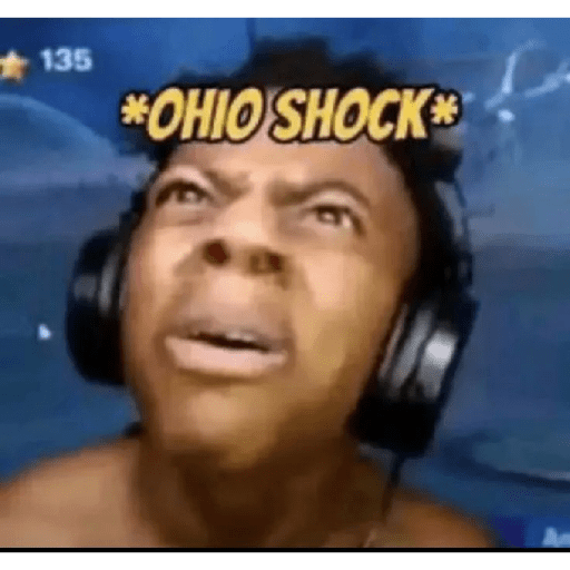 Tiktok Meme #1 15