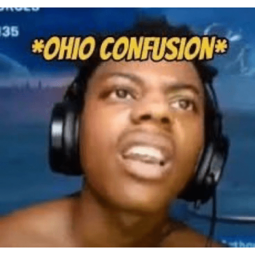 Tiktok Meme #1 14