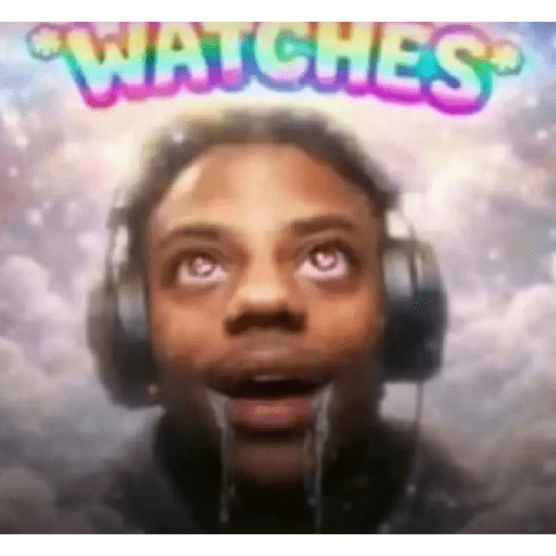Tiktok Meme #1 11