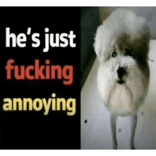 Tiktok Meme #1 3