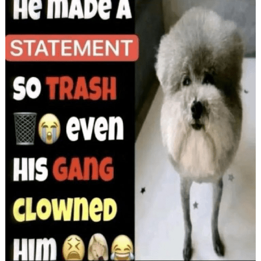Tiktok Meme #1 2